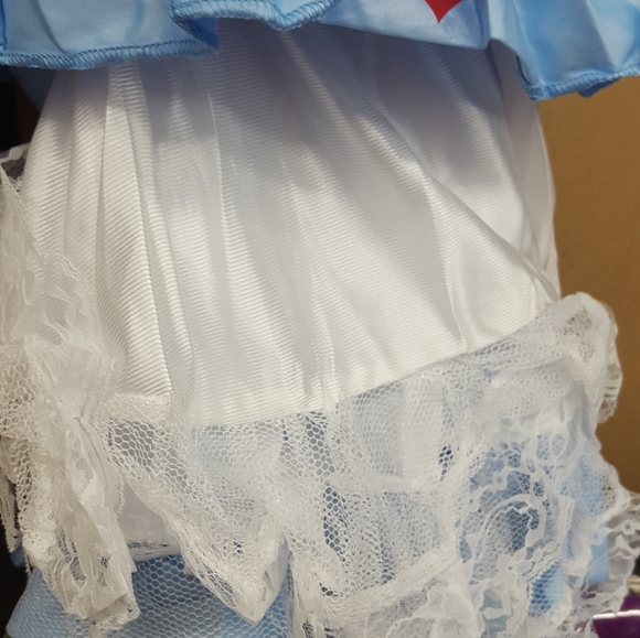 Rebel Toons Alice in Wonderland Adult Costume sz LARGE LAST ONE - Picture 3 of 14